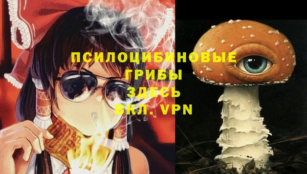 соль курить ск Алексеевка