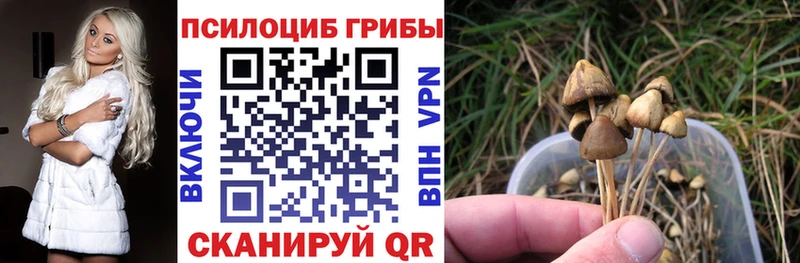 ссылка на мегу рабочий сайт  как найти   Каменногорск  Псилоцибиновые грибы мухоморы 